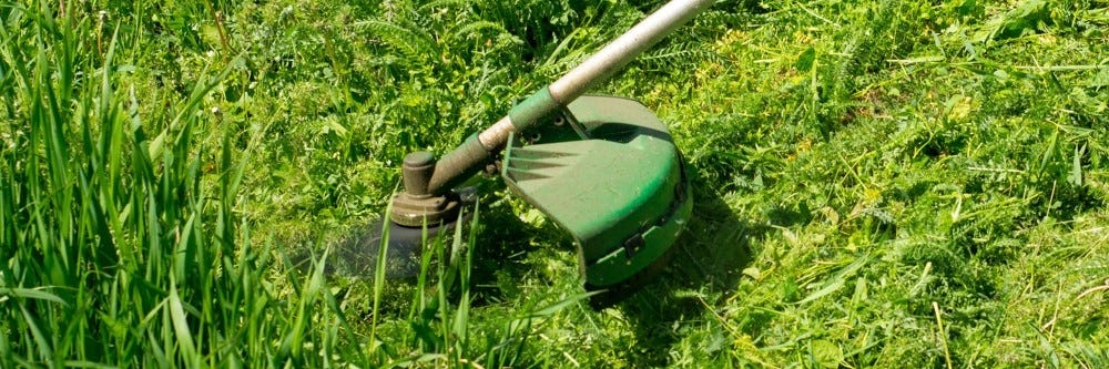How To Clear An Overgrown Yard DerivBinary