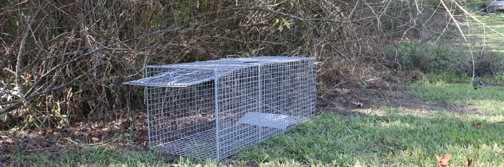 Solutions Humane Live Animal Trap, 42''x15''x15'', Solutions Pest & Lawn,  Mechanical trap