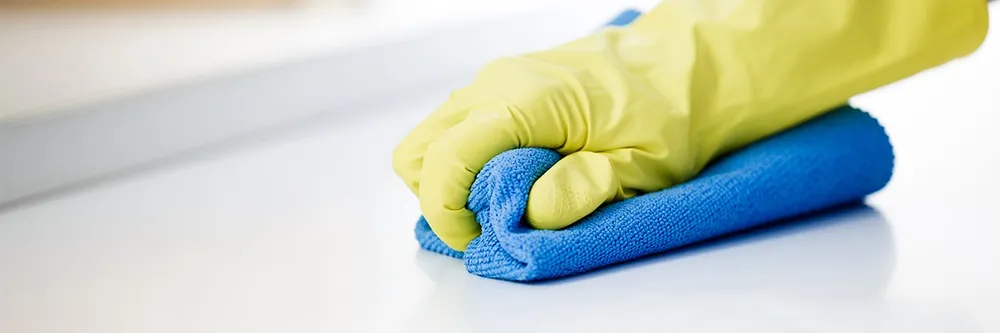 Alman Hamam Böceği kimyasallarını uygulamadan önce evinizin temizliği