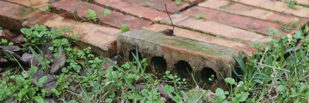 yard enkaz akrobat karınca önleme