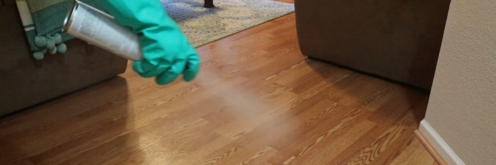 How To Get Rid Of Fleas From Hardwood Floors Solutions Pest Lawn