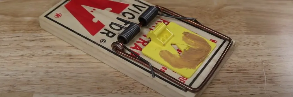 7 Common Mouse Trap Mistakes … & the Brilliantly Simple Tips That Can  Easily Solve Them