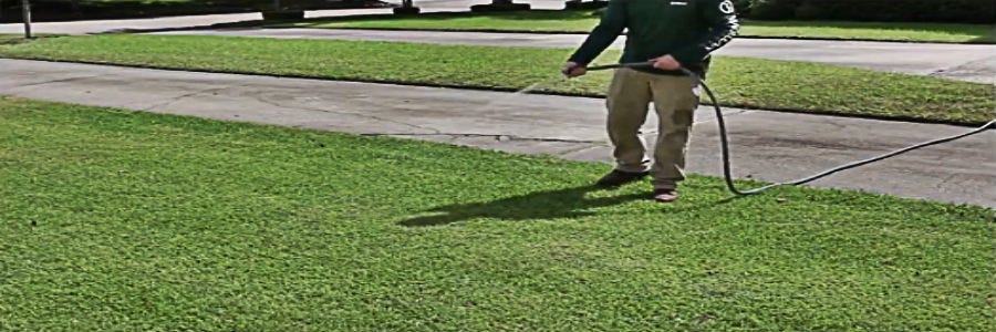 Shop Best Granular Fertilizers | Solutions Pest & Lawn