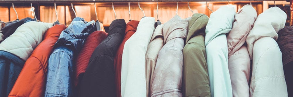 How to Get Rid of Casemaking Clothes Moths