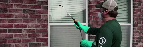 How Exterminators Get Rid of Flies in Gainesville · ExtermPRO