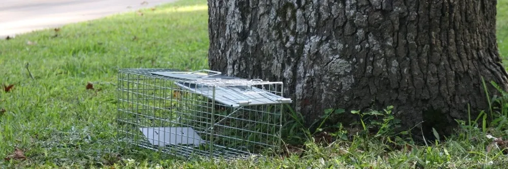 Chipmunk Trap - for Live Catch-and-release : 5 Steps - Instructables