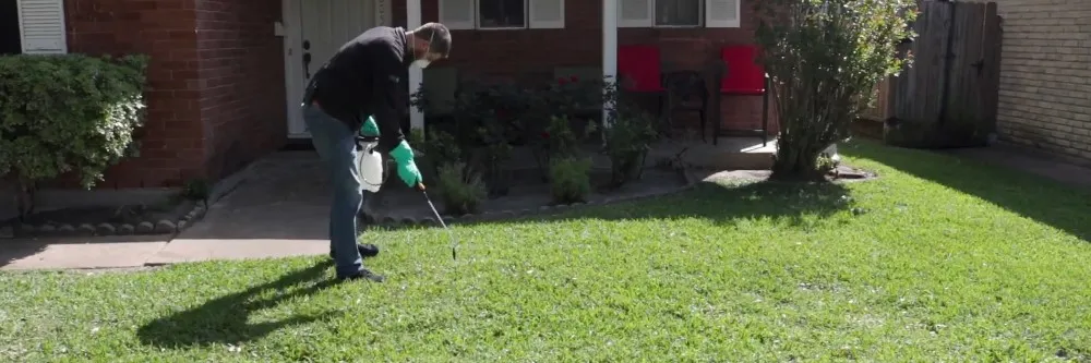 Reapplication of herbicide to Henbit