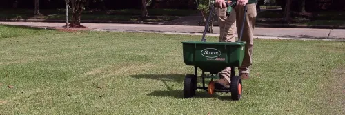 Applying Bifen Granules to treat Armyworms