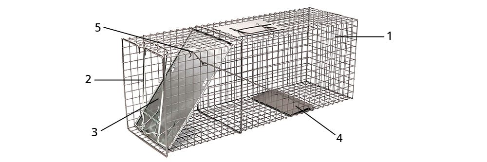 Live Animal Traps Professional DIY Pest Control Equipment Solutions 