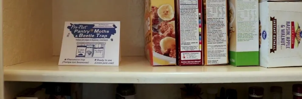 Pro-Pest Traps on a Pantry Shelf